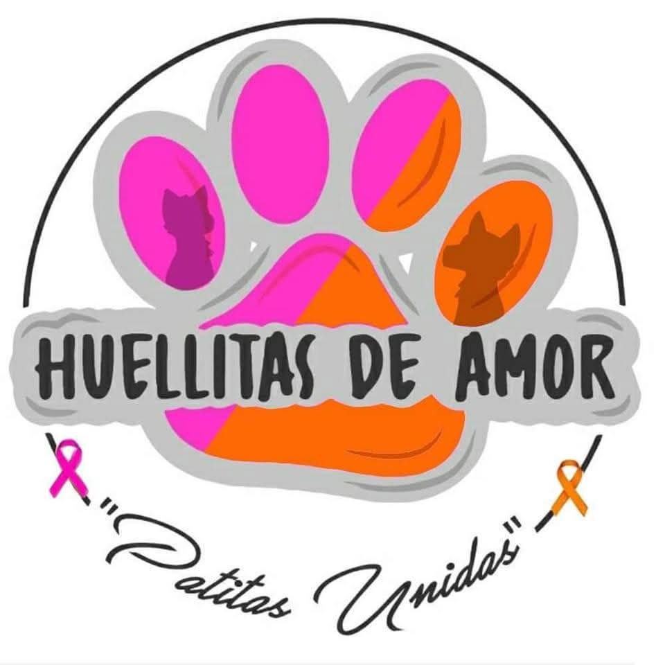 huellitas de amor